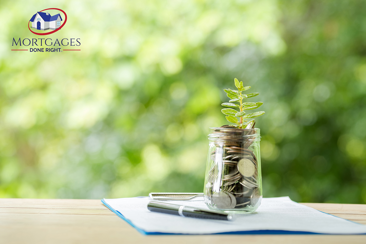 Plant growing from coins in the glass jar on blurred green natural background. copy space for business and financial growth concept.