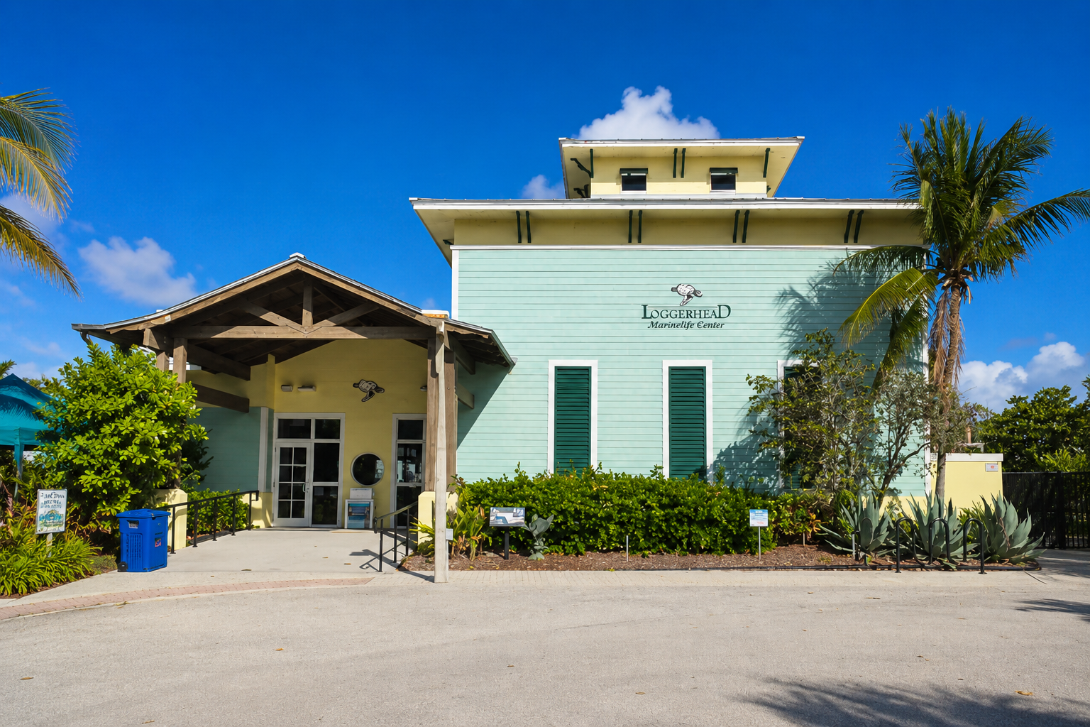 Loggerhead Marinelife Center in Juno Beach Florida